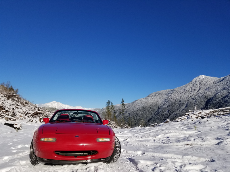 Illustration for article titled Miata vs. Wild